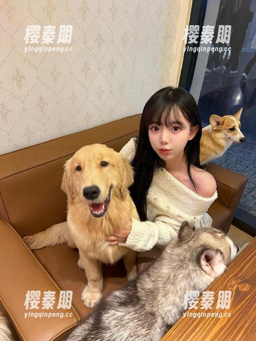 吃瓜网红 登录网络,吃瓜网红料尽在不言中,好奇心警报已开启!