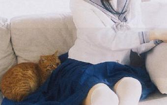 探索“黑料不打烊”新线路，连瓜田里的猫都开始关注了～
